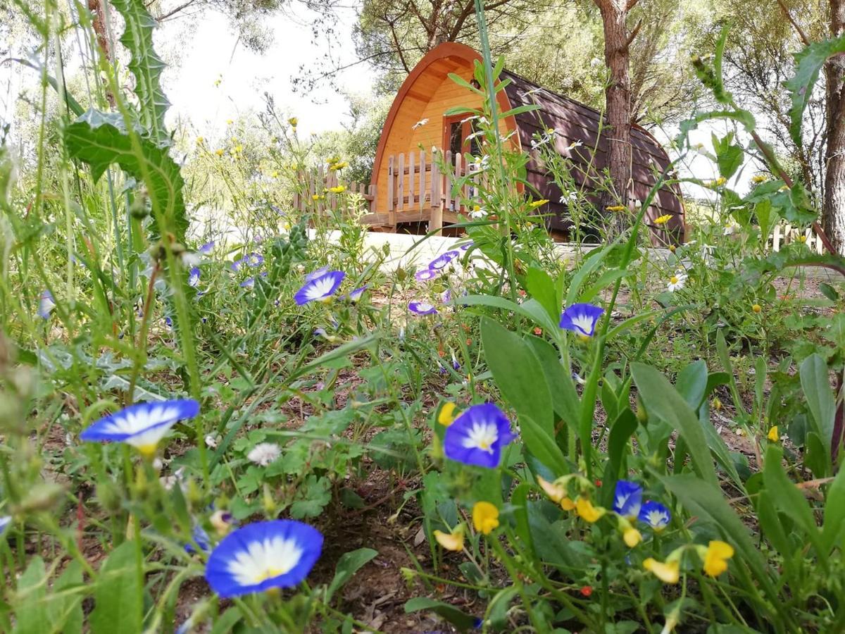 Glamping * Sintra