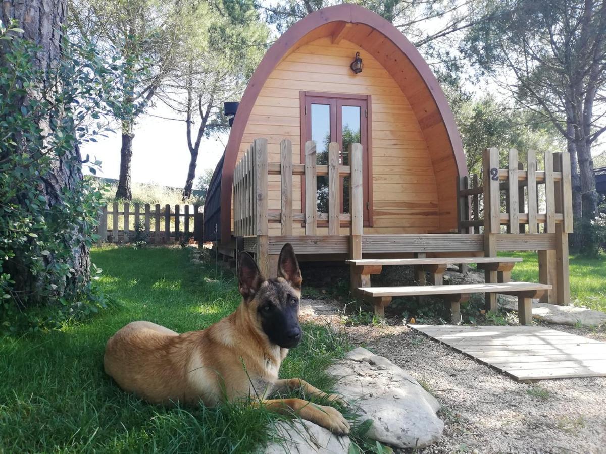 Glamping